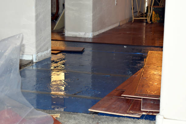 Professional Basement Flood Cleanup technician working in Barnardsville, NC