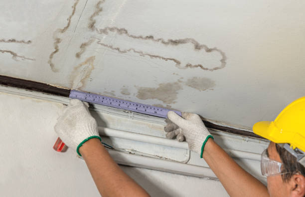 Reliable Basement Flood Cleanup contractor in Barnardsville, NC by Aqua Guard Water Damage